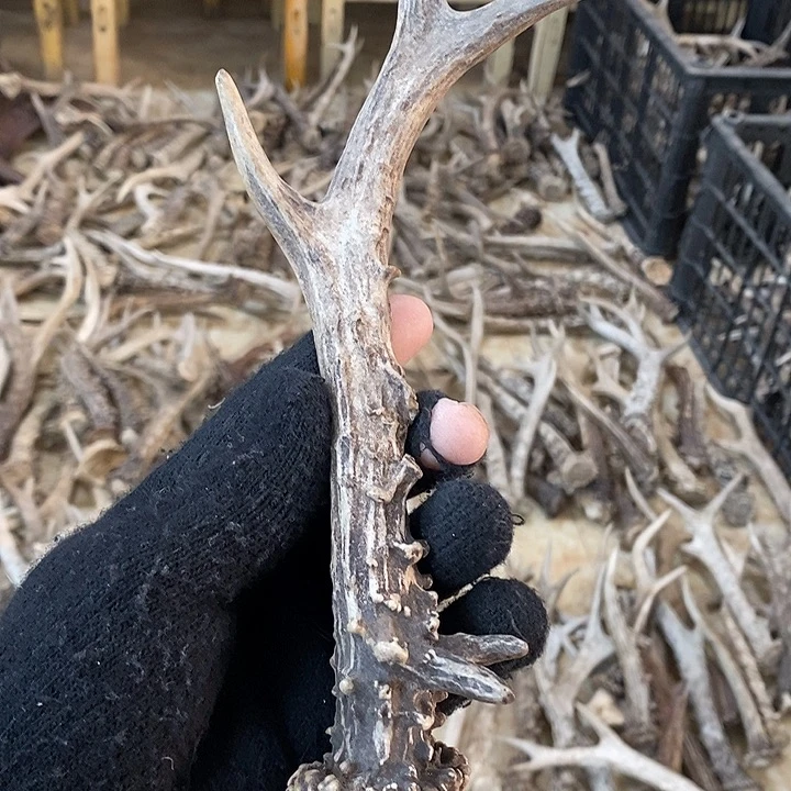 1***6大叶紫檀（黑酸枝木类）