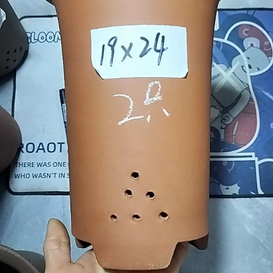 紫砂大红兰花两个