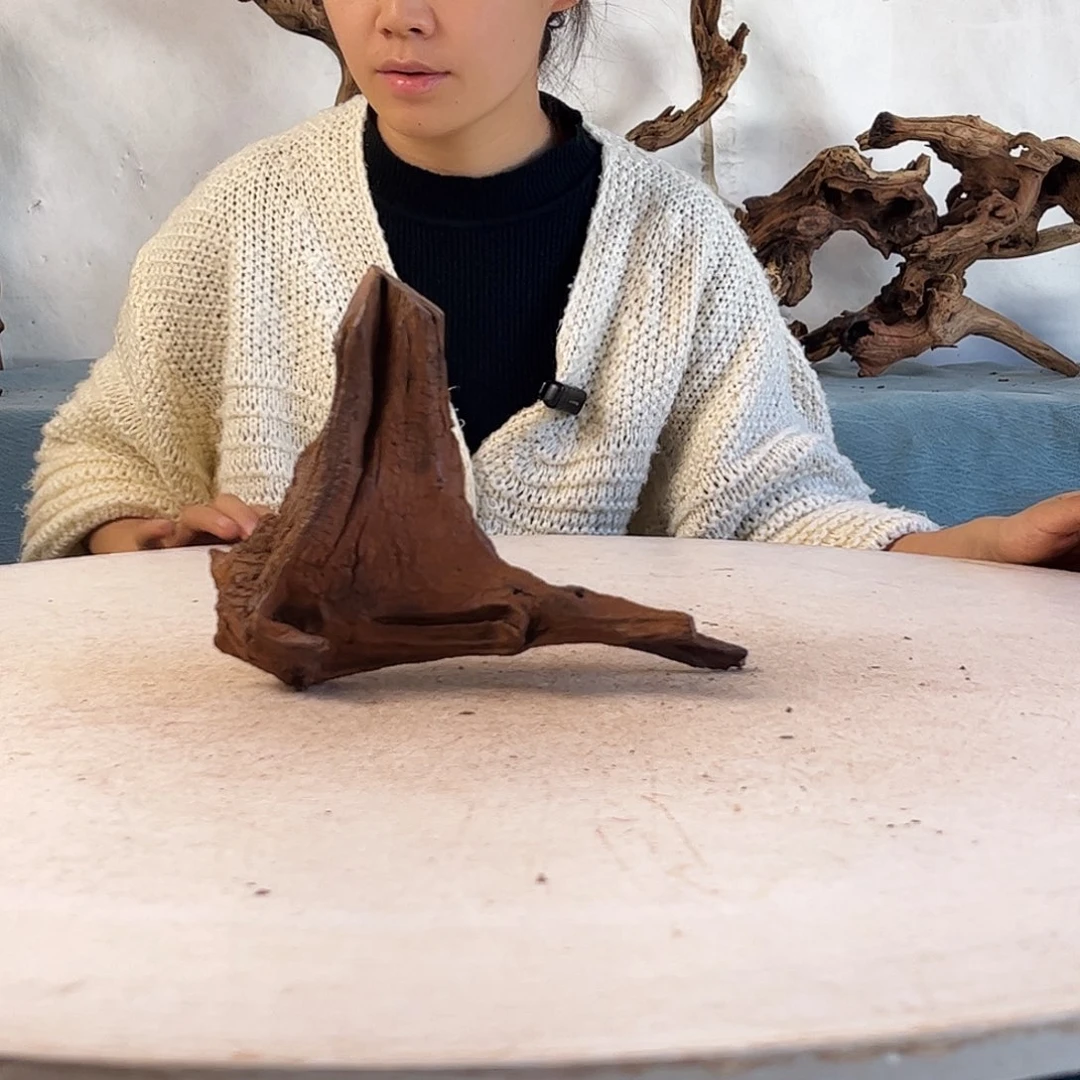 周末福利沉木造景