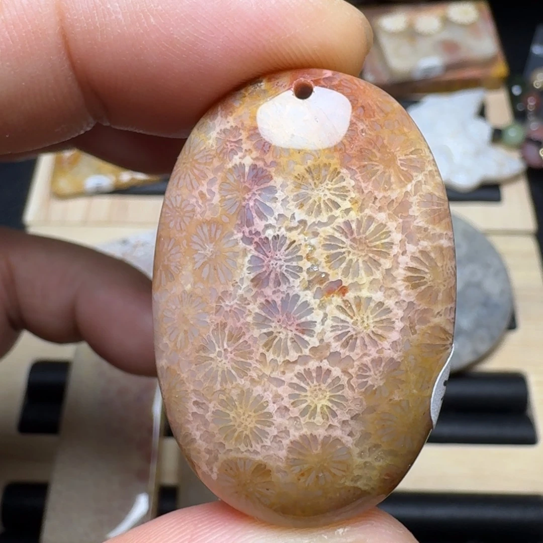 未镶嵌纯天然色有机玉石保真色硅化玉