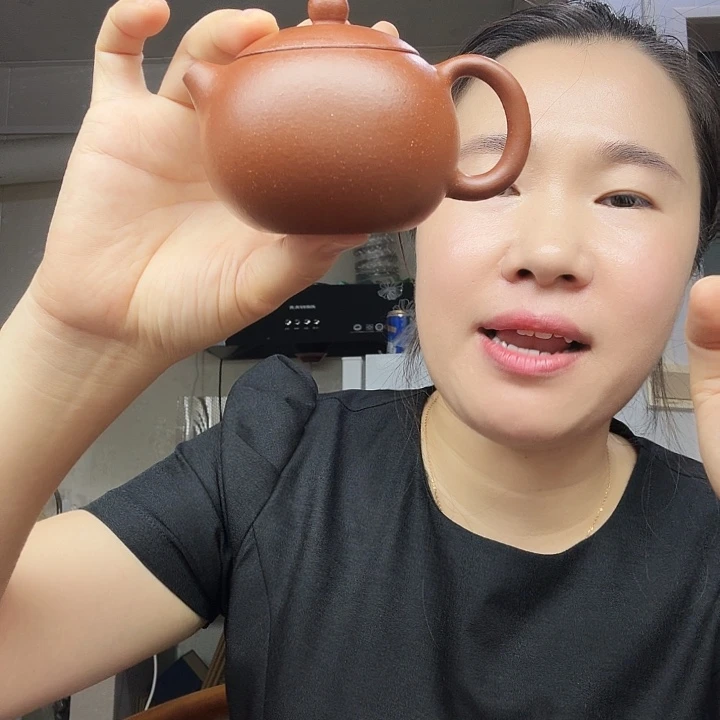 紫砂茶壶原矿半手工降坡西施150cc