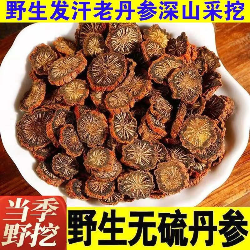 野生秦岭发汗紫皮丹参可泡水煮茶 煲汤搭配黄芪山楂金秋滋补
