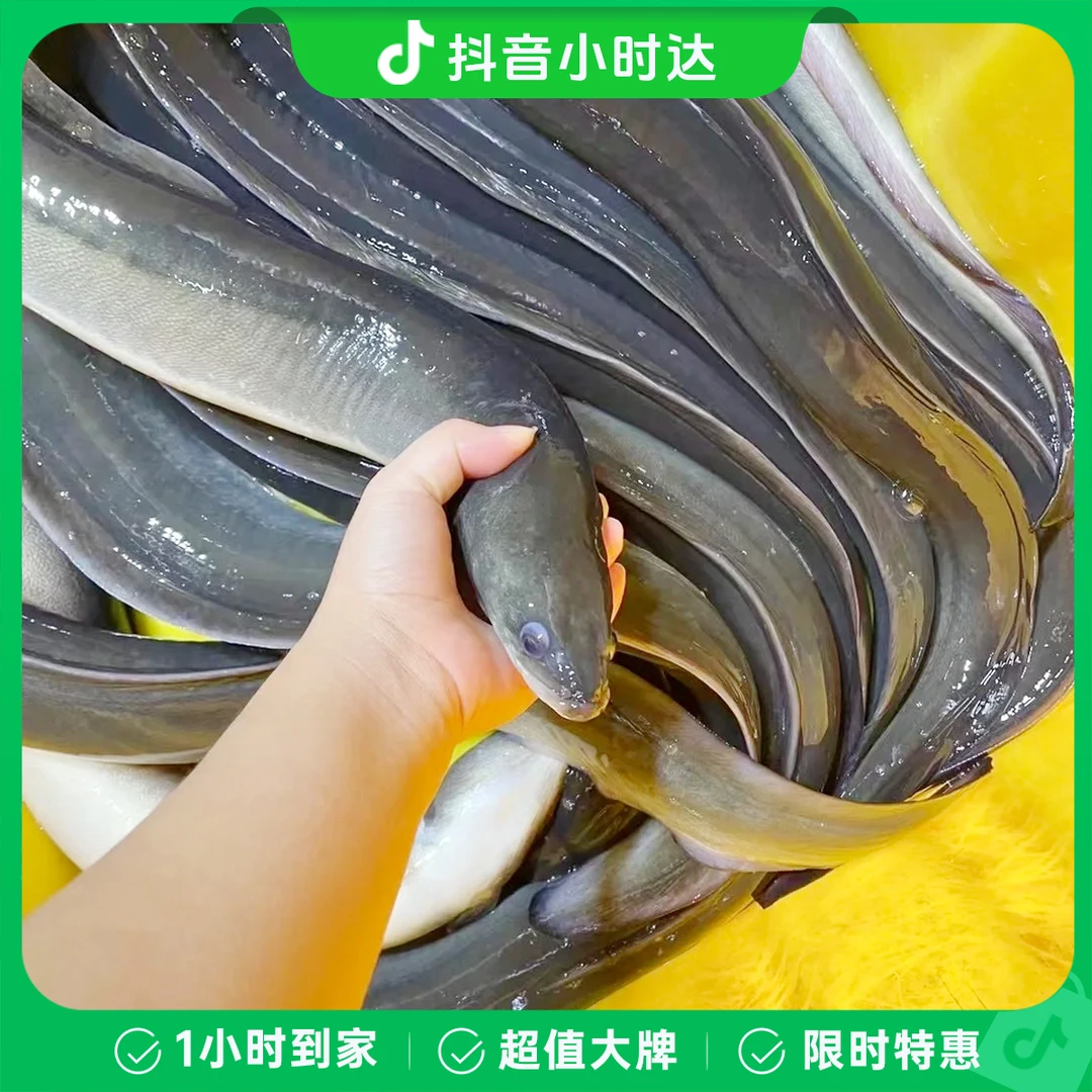 【鲜活】海鳗鱼约850克/份
