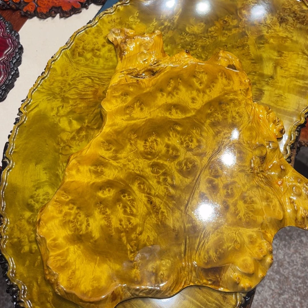蔡***缘黄金樟干泡来啊啦啦啦阿兰