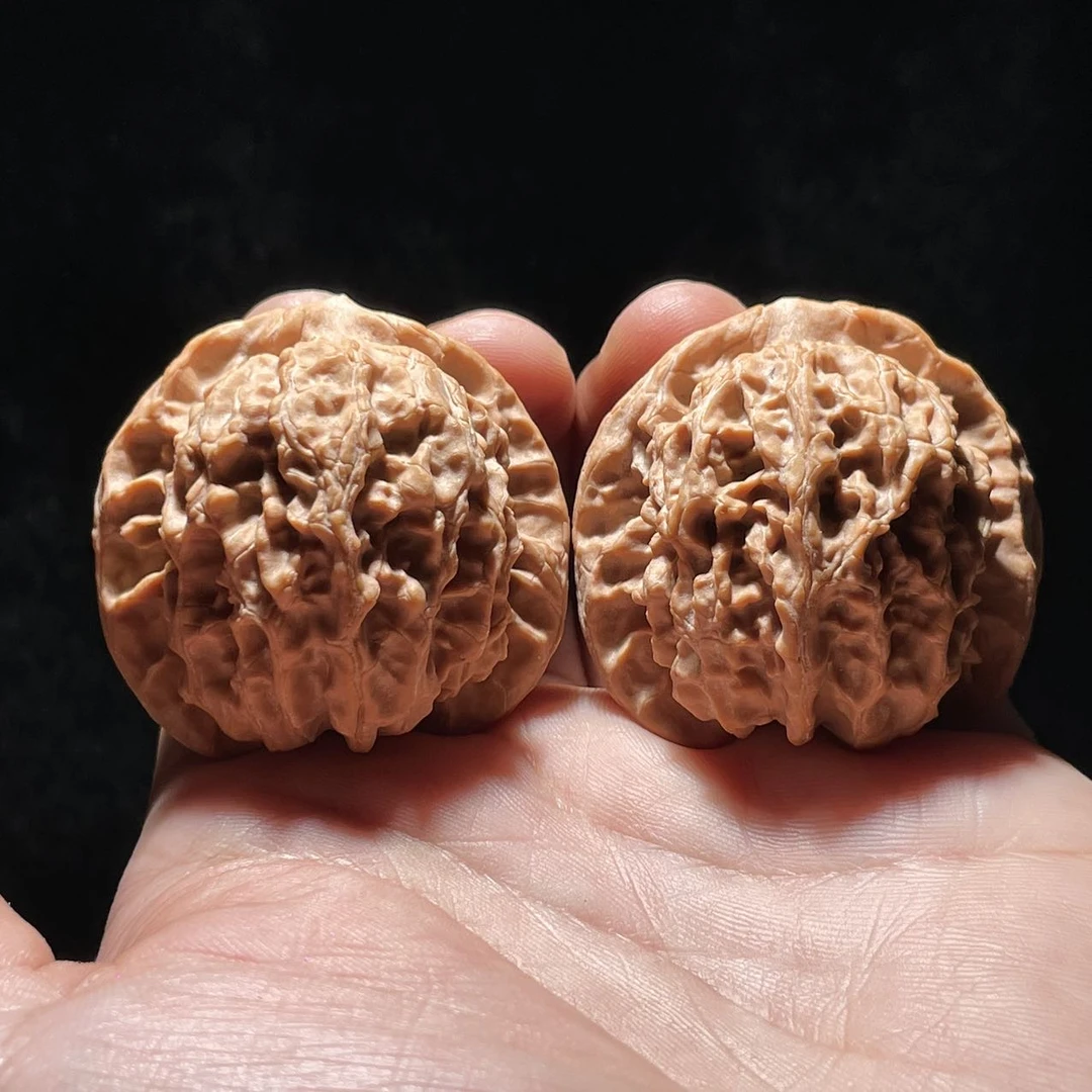 【中国涞水麻核桃协会】26 G42256-狮子王核桃（全品）39-40mm-