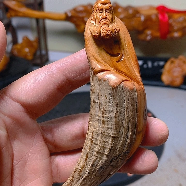 柏木（崖柏）太行大峡谷崖柏