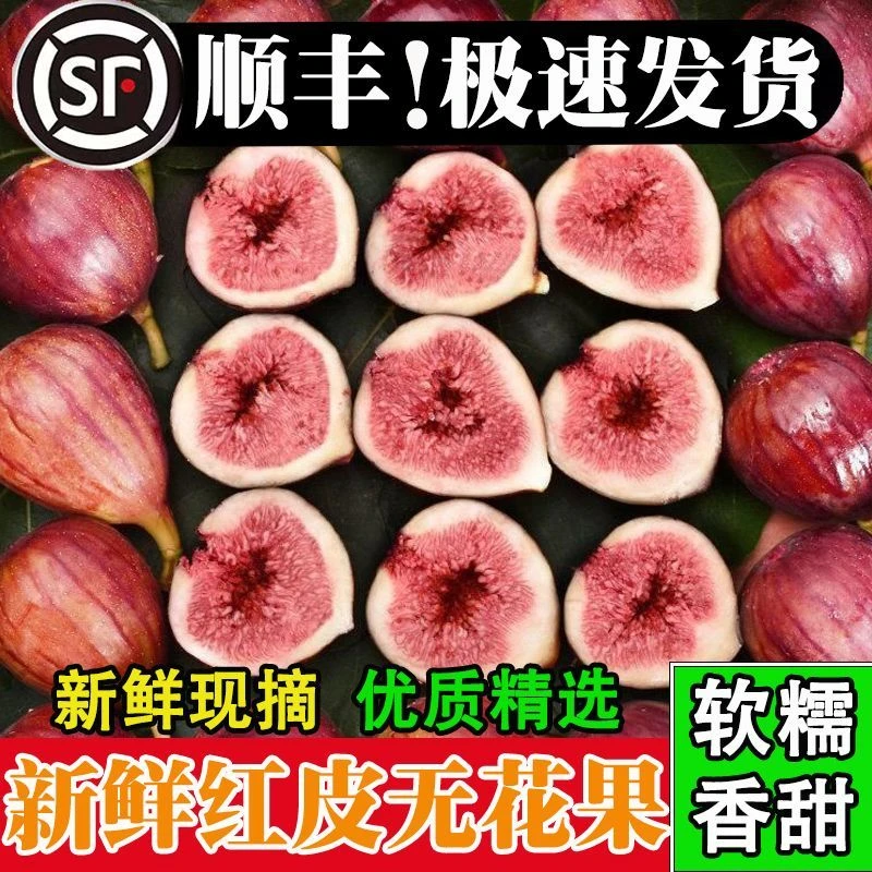 【顺丰包邮】现摘云南新鲜无花果鲜果一整箱红皮无花果不是格莱斯