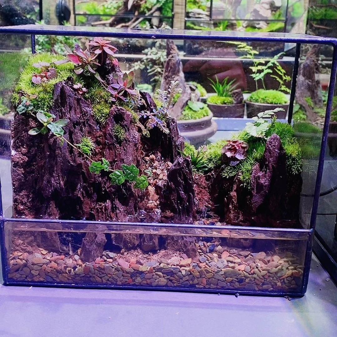 无花朵桌面流水景观