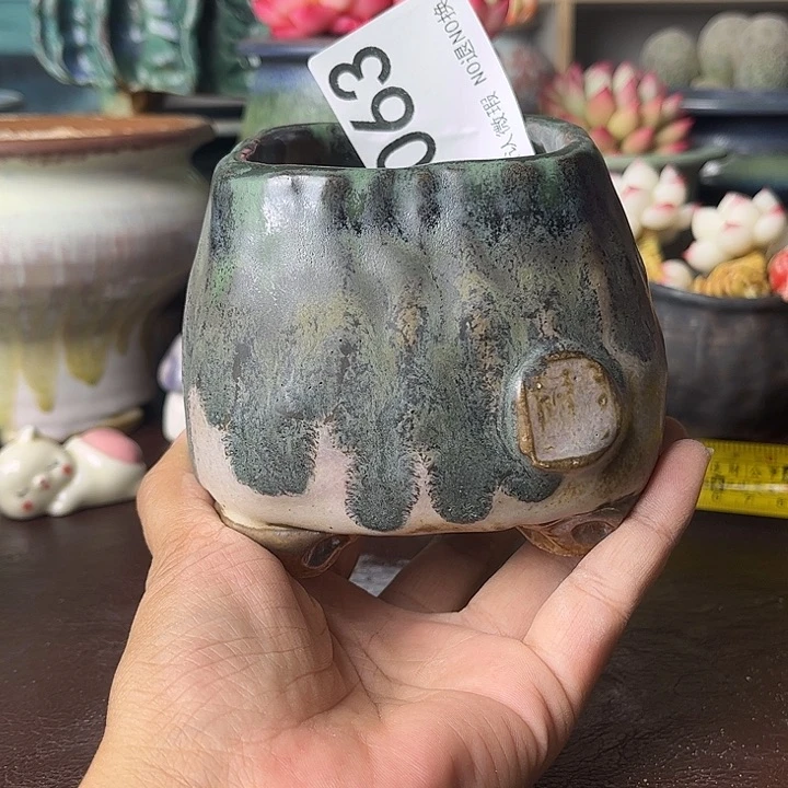 重庆小燕子欢迎大家063