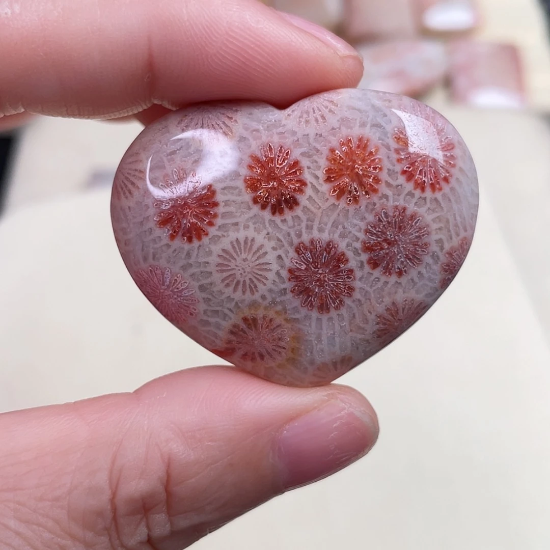 【闪购商品】未镶嵌吊坠(赠链)硅化玉果*