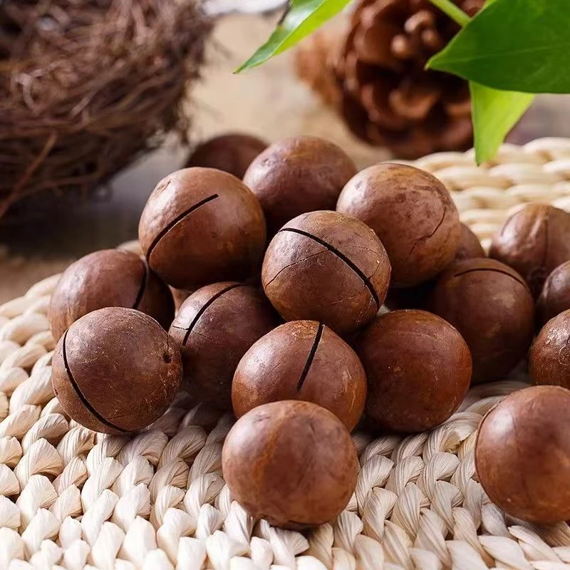 夏威夷果新货坚果现发