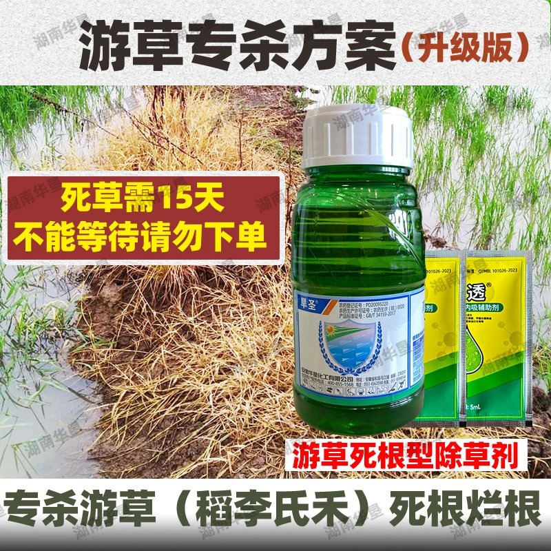 游草专杀方案 高效氟吡甲禾灵升级版 专杀空心游草芦苇茅草除草剂