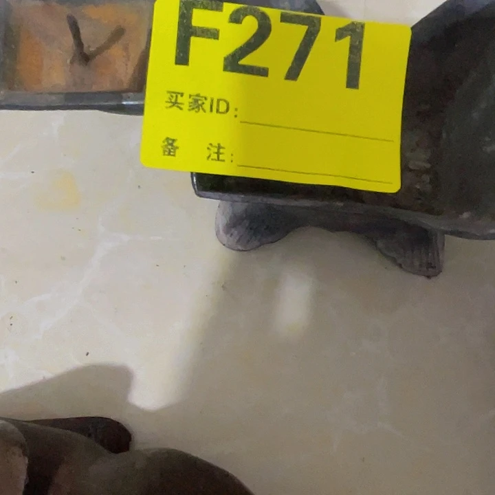 香榧木诗****蓉民俗老物件陈列