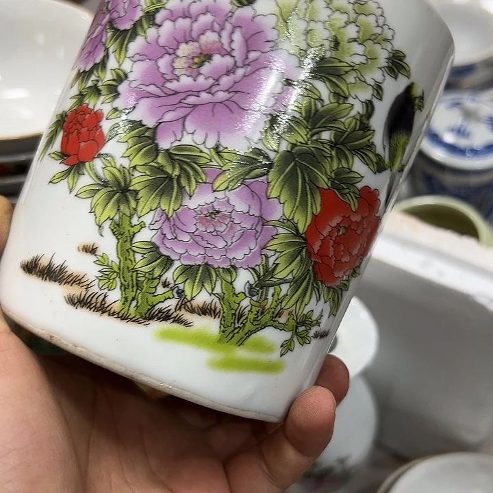 用***鹰老物的生活方式和生活