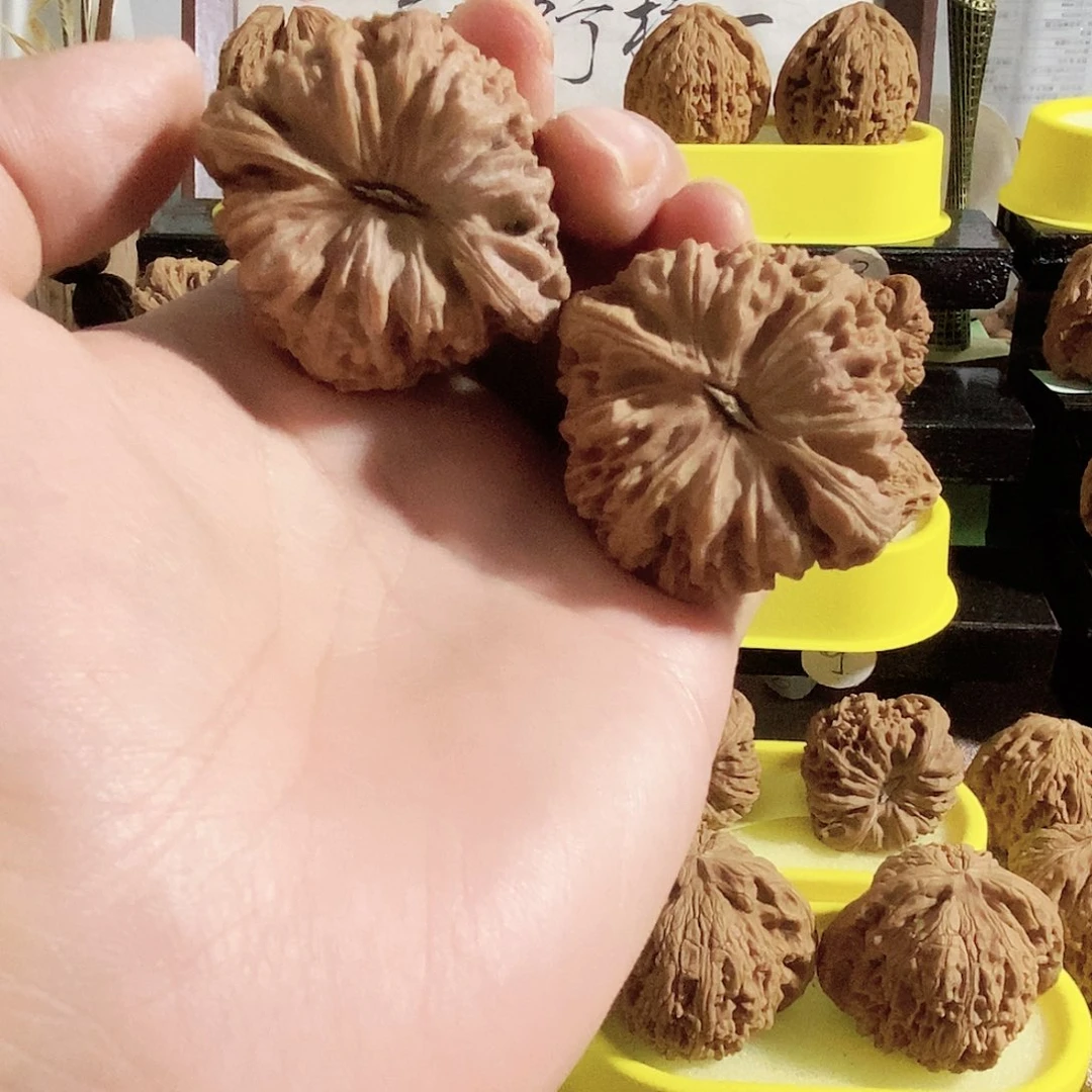 木质类今天是不是