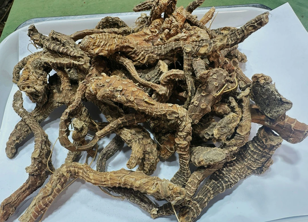 现收土特产 阿-勃-参 250-1000克 食用农产品