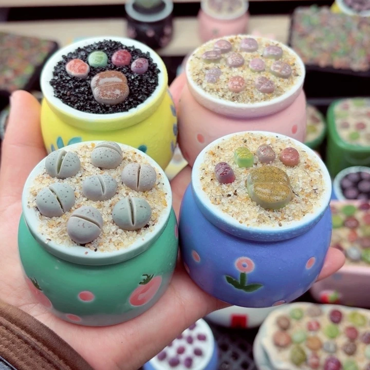 雪***声6006 零下地区记得拍保温箱