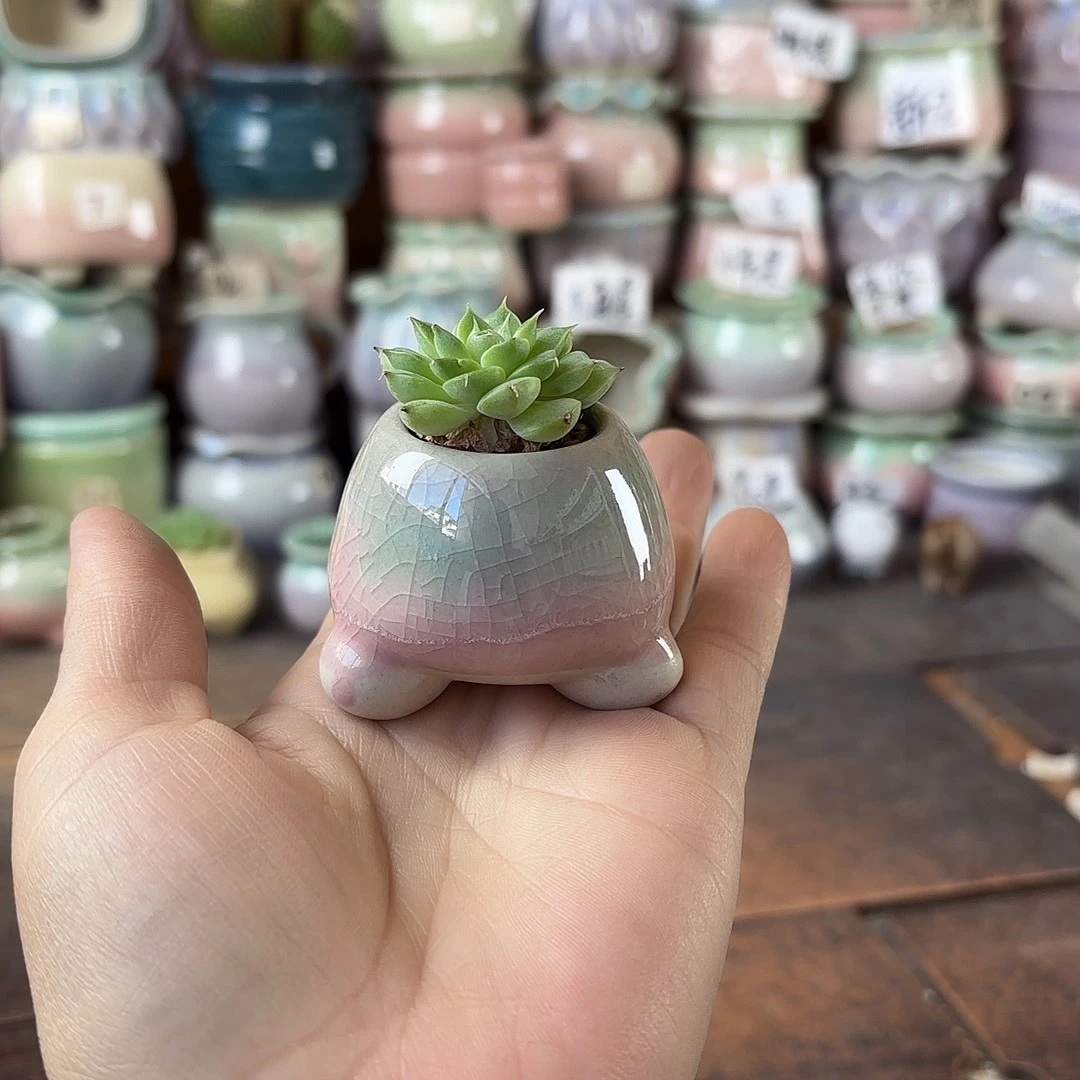 量货/2.5口高深浅搭配发12