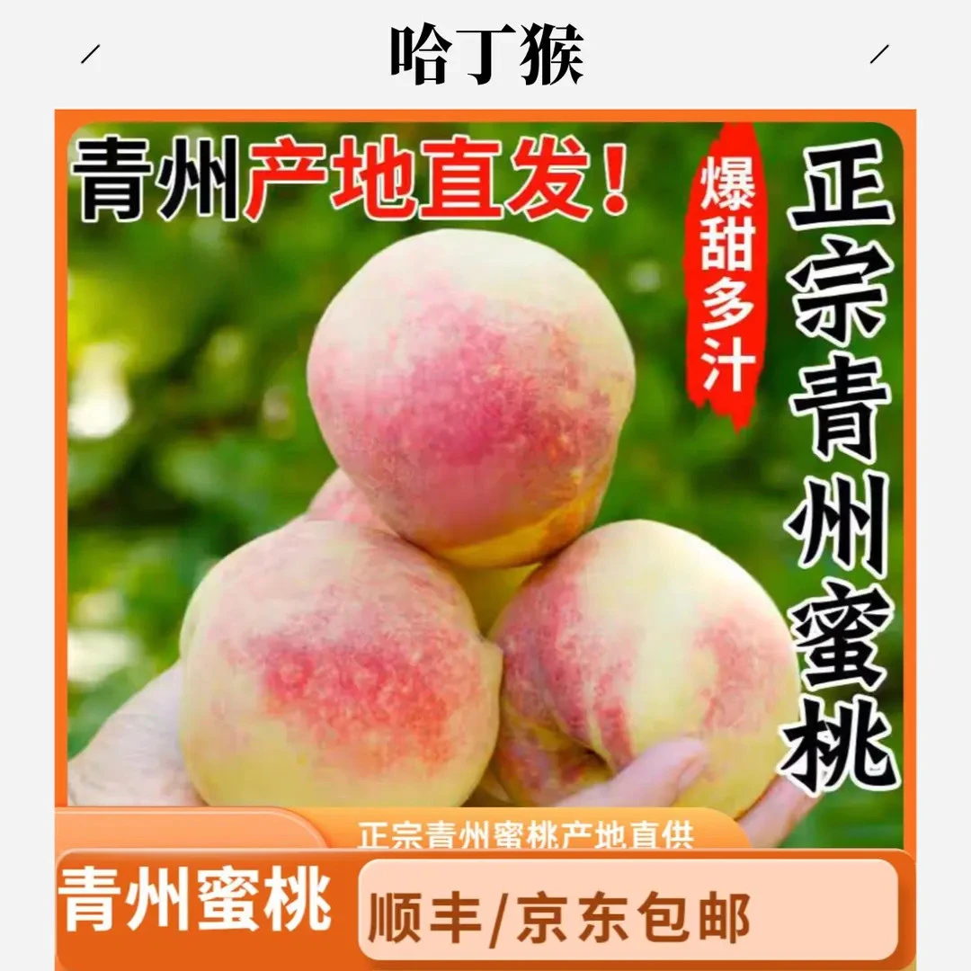 顺丰京东包邮正宗青州蜜桃新鲜现摘应季脆甜儿时味道桃子新鲜水果