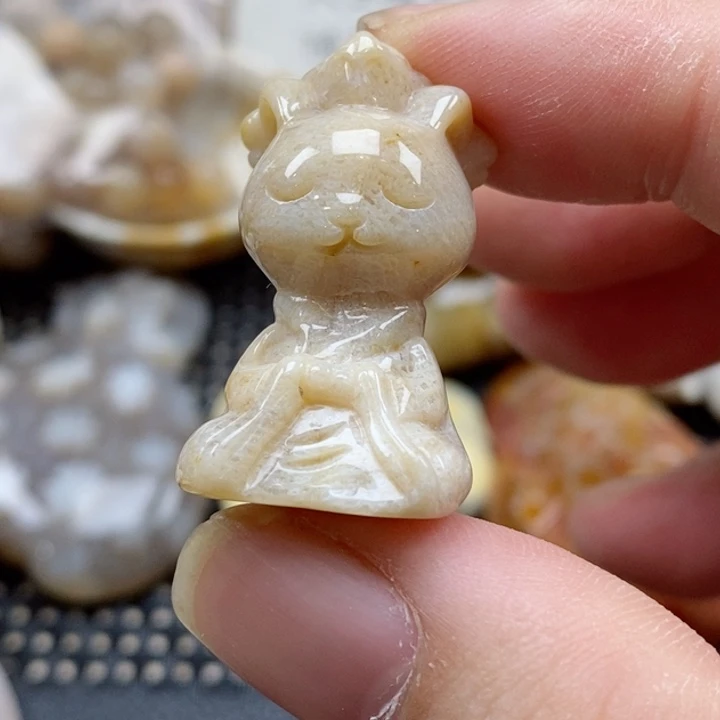 硅化珊瑚（珊瑚玉）颈饰未镶嵌胖*