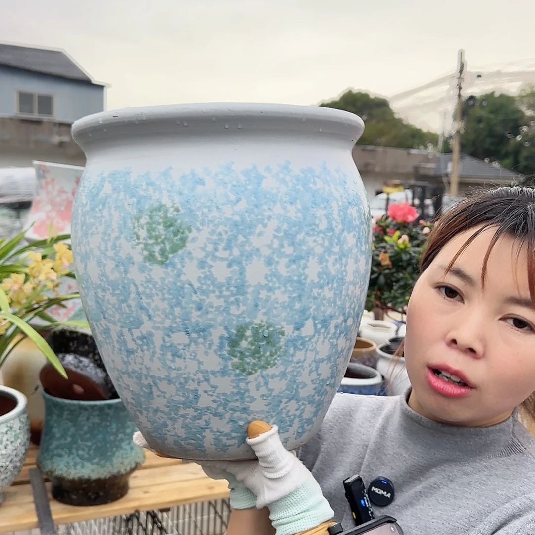 王嫂花盆直播1117-346高30口28