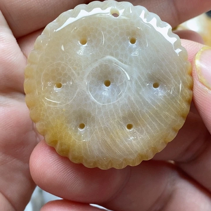 颈饰未镶嵌硅化珊瑚（珊瑚玉）