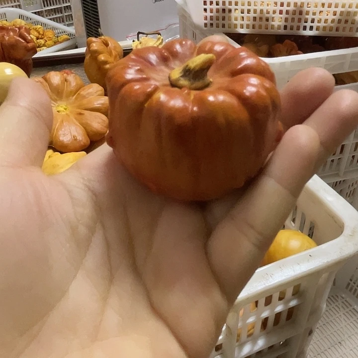 苯***明特价葫芦不退不换