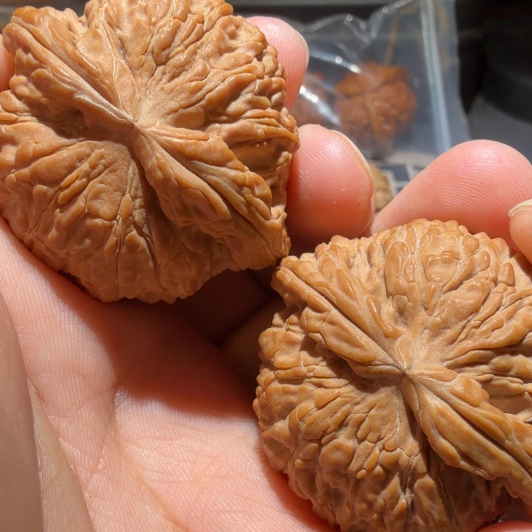 把件猴头核桃白狮子