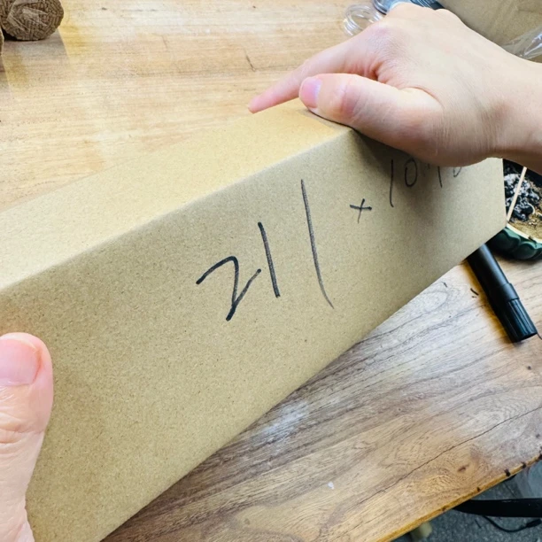 〖沉境〗阿梗211大福利 1套 线香 源头工厂