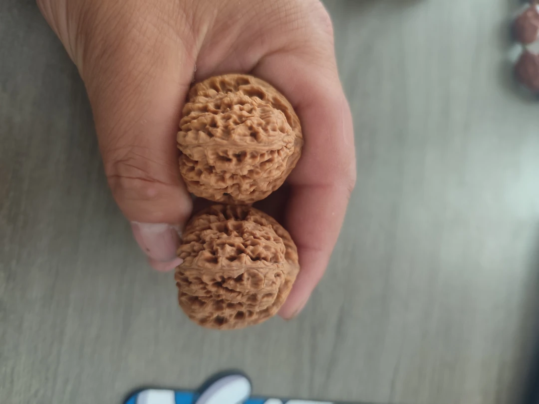 文玩核桃精品南将石狮子头，一代山地果