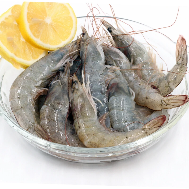 新鲜海捕大虾海洋大虾 20-30重3.3斤