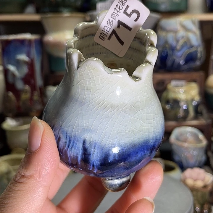 狼盆内口径4高度7