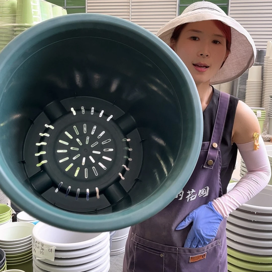 四季盆9#墨绿色2个无托