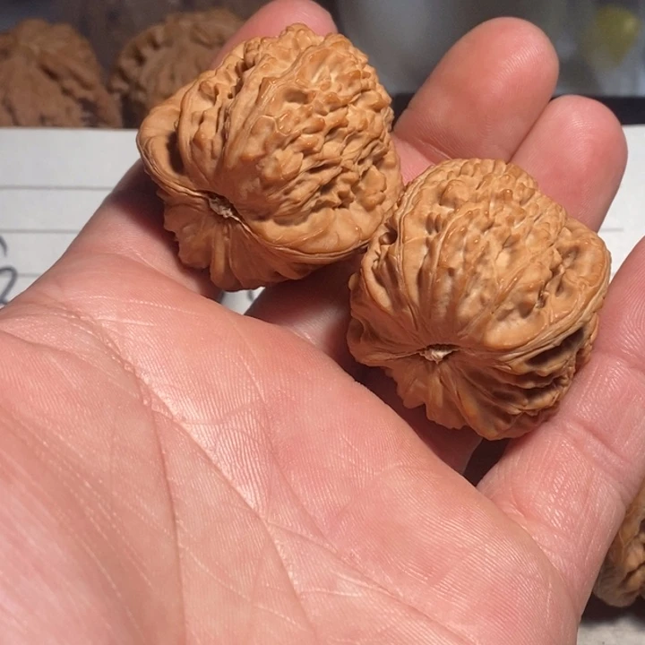 文玩核桃把件带****灯核桃