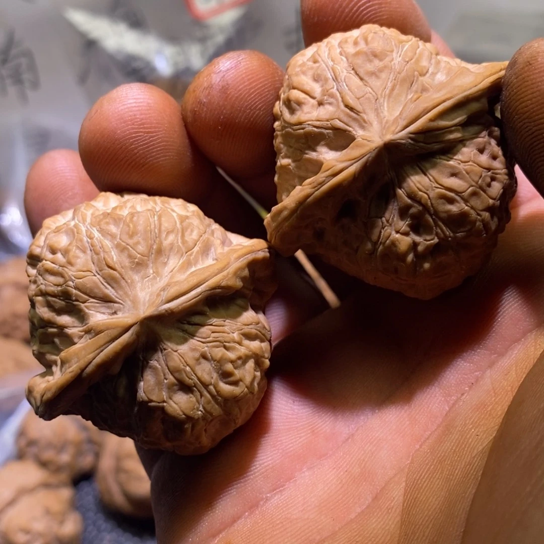 随**遇南瓜44尺寸全品