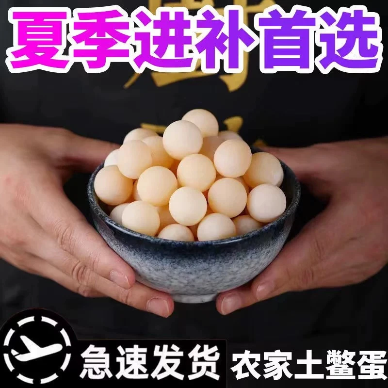新鲜原生态甲鱼蛋现挖现发宝宝辅食高蛋白营养