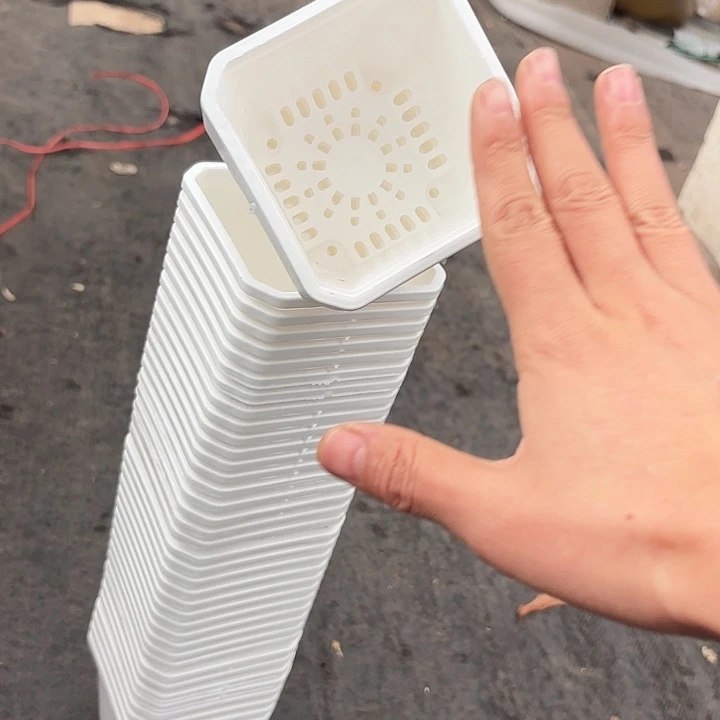 万象小白方盆8厘米20个