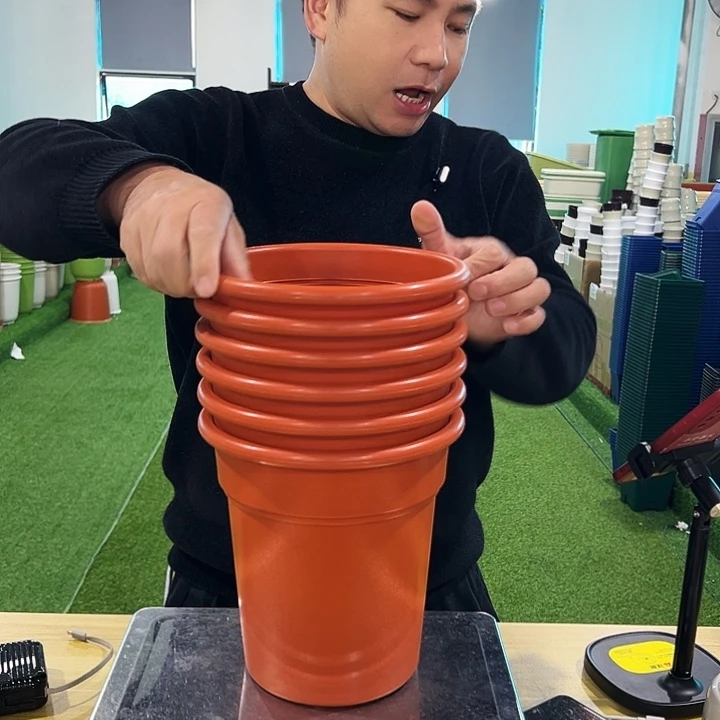 特价翻边口21高23陶红6个无托