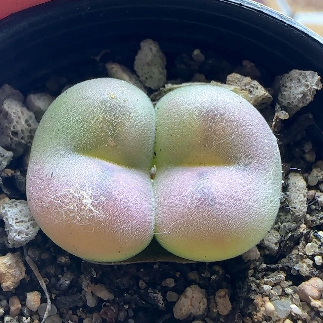 空卡。       45080