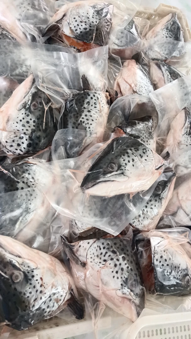 野生三文鱼鱼头三个（净重4-4.6斤）