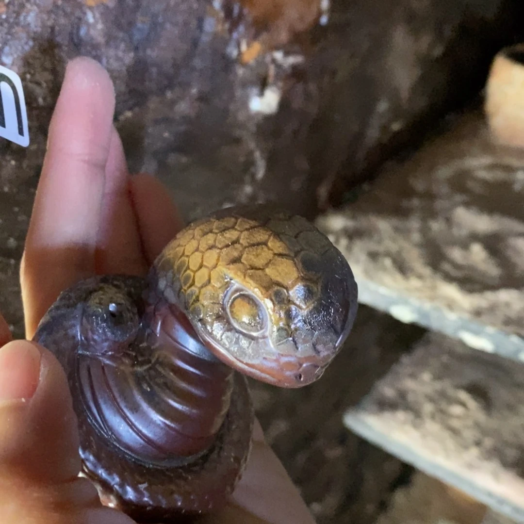 开窑大吉 高货多多133