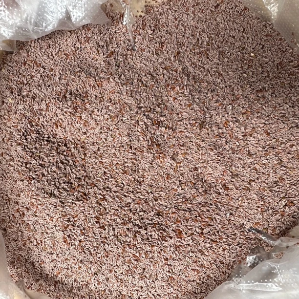 藏-莲-夹  土特产菇