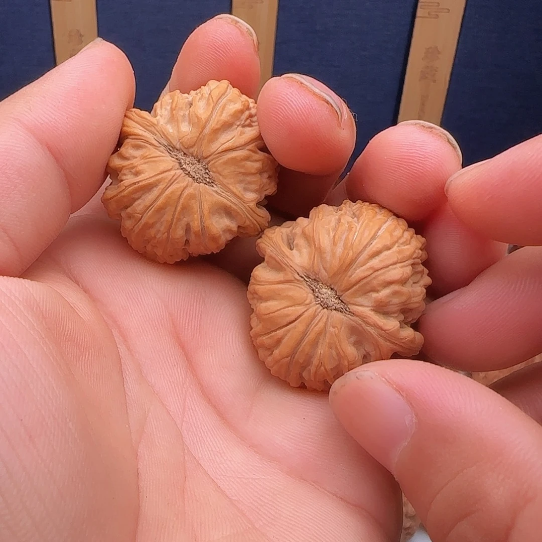 用***5核桃0006白狮子白狮子