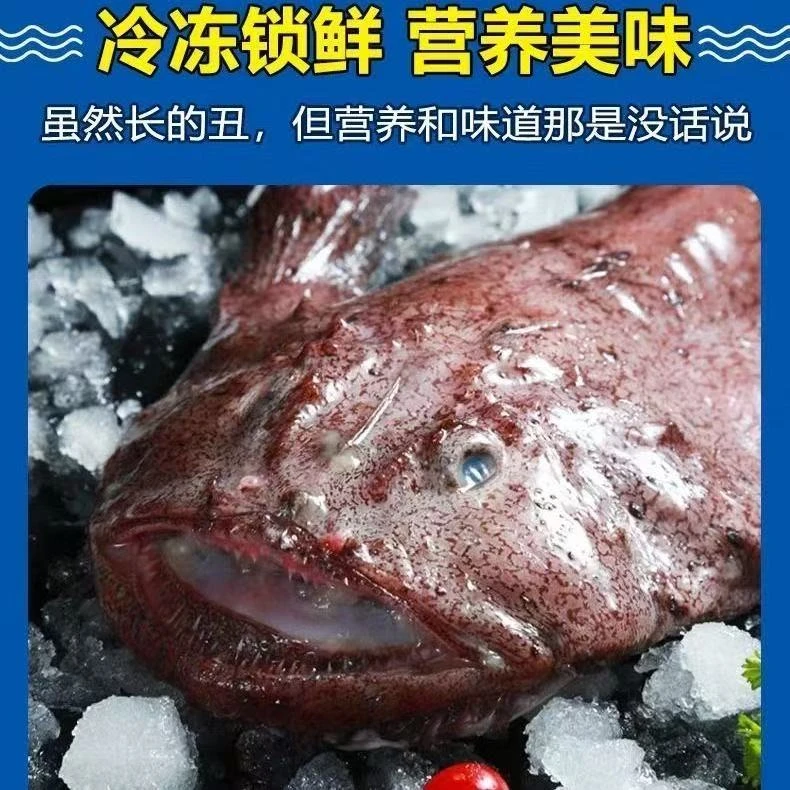 鲜活深海安康鱼灯笼鱼鮟鱇鱼超大蛤蟆鱼大嘴鱼新鲜鱼肝鱼肚特大