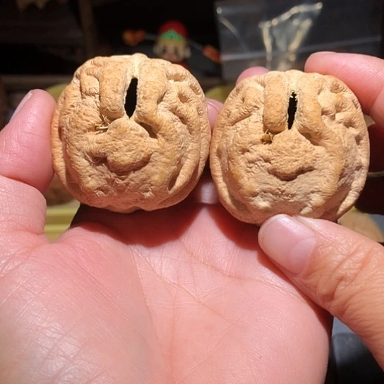 吊坠金刚菩提乾坤鬼脸核桃