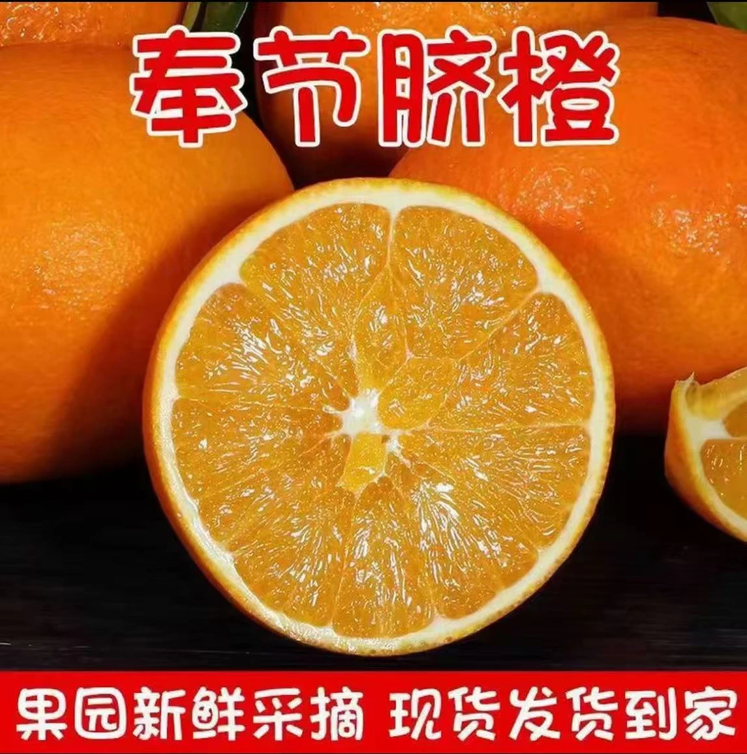 正宗奉节脐橙细嫩化渣新鲜脐橙现摘现发脐橙产地包邮5/10/20斤
