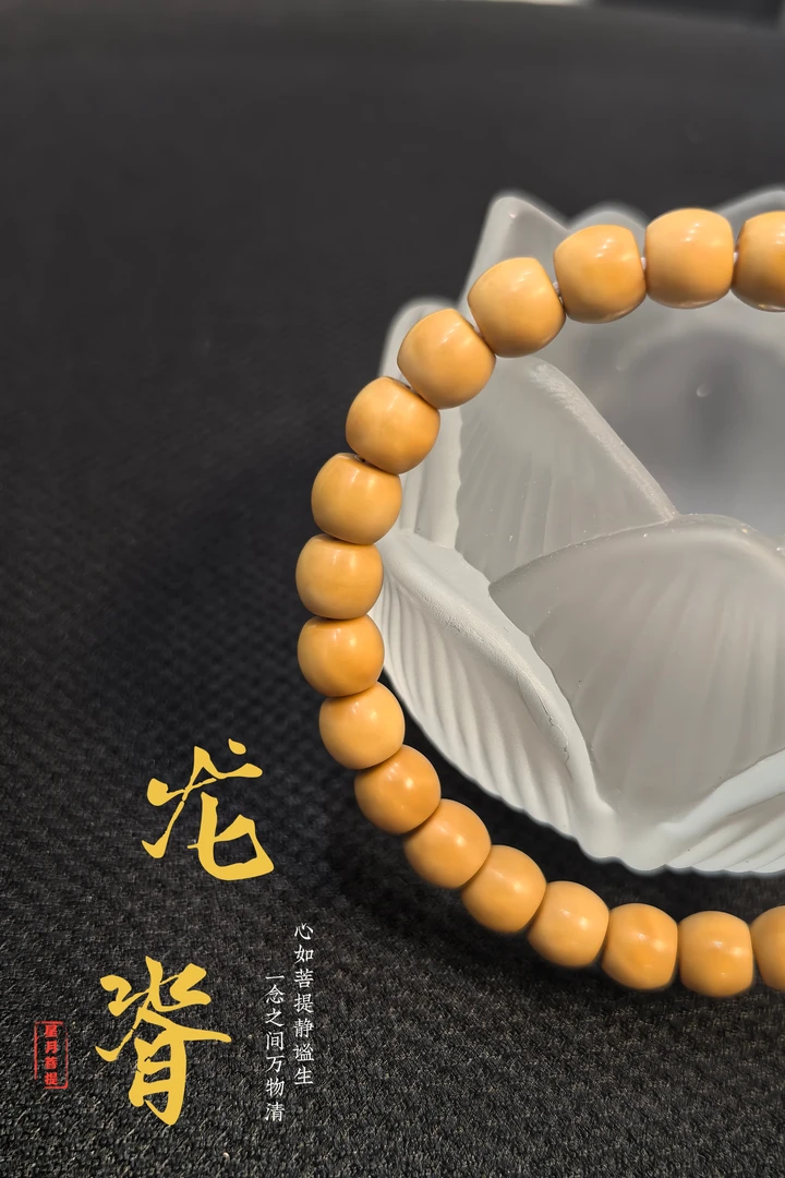 龙脊菩提,顺黄直切(8×7)纯天然正品