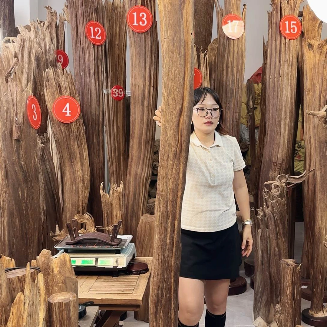 沉香沉香碎屑沉香多样性发一件