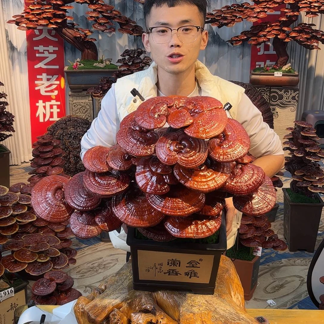 无花朵888888888888