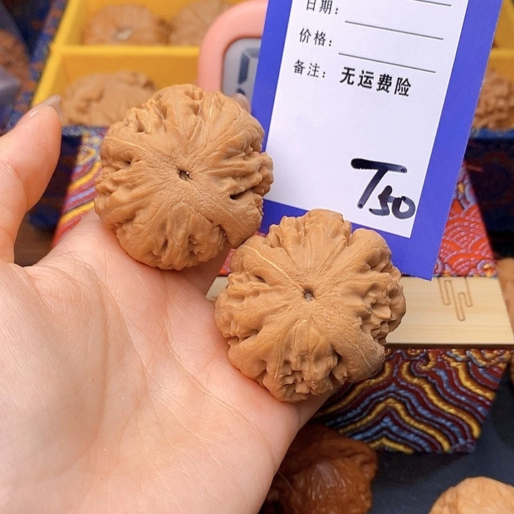 风***们文玩核桃把件文玩核桃霸王龙50